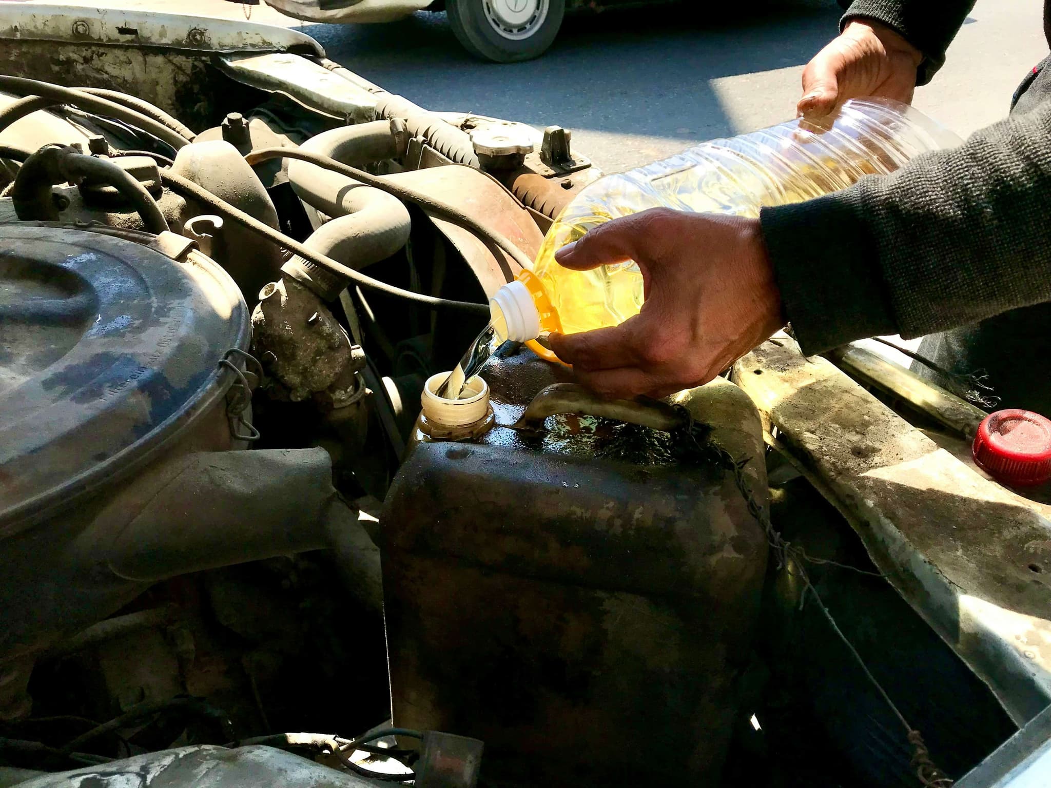 Maintenance